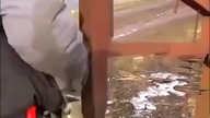 Rąbanie drewna lvl ukraina