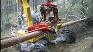 Leśny Transformers