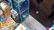 Zuchwały złodziej oreo