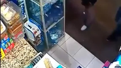 Zuchwały złodziej oreo