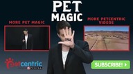 Wielki Dogzini  Psia magia 