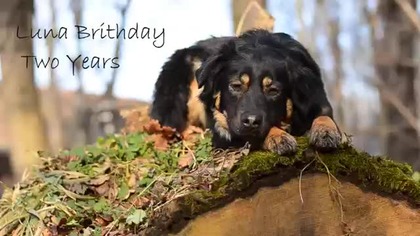 Luna Brithday  Two Years 