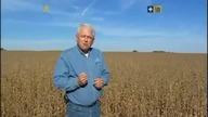 Swiat wedlug Monsanto - film dokumentalny o trucicielskiej korporacji Monsanto 