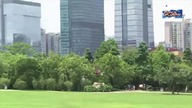 Pterodaktyl RC