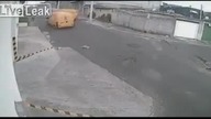 Kierowca busa przejechał psa