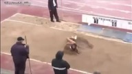 PIEKNE TYŁECZKI OLIMPIJEK SIATKAREK SZCZYPIORNICZKI RADWAŃSKA 2015 HD 