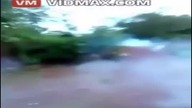 PIES I FAJERWERKI HD 