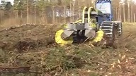 Forest T26 a