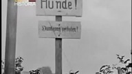 Kryj&oacute;wka Hitlera  - Film dokumentalny
