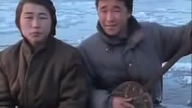 Voice of mongolia (nowa wersja fristajlo)