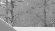 Wojna Rosyjska *Między życiem i śmiercią, Leningrad - Film dokumentalny