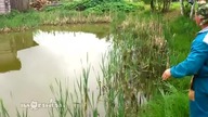 Jak kot wykręcił wędkarza