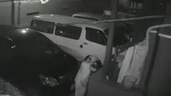 Grand Theft Pants