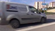 Oto psia przyjaźń
