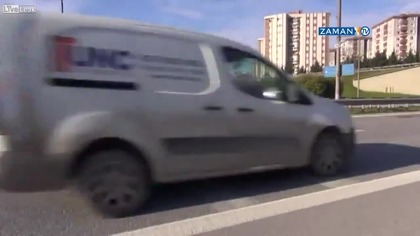 Oto psia przyjaźń