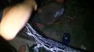 Pijak leży na elektrycznym pastuchu