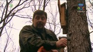 Przyjaciele lasu - odcinek 22 - Nietoperze