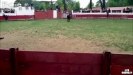 Idiota kontra byk