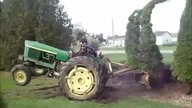 Waleczna Tuja