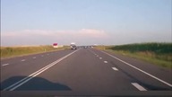 Wybor wypadkow  Inteligentne psy i gołębie 