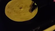 Tortille na gramofonie - limitowana edycja