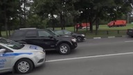Stopham, agresja na porządku dziennym
