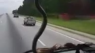 Pasażer na gapę