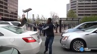 Dzicz z Baltimore - Kompilacja