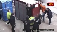 Wściekły byk ucieka z klatki 