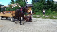 Morskie Oko-Koń po pracy
