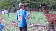 Kompilacja faili (JukinVideo)