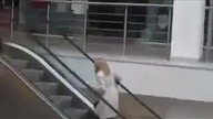 Ahh te blondynki
