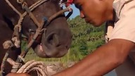 Legendy z dalekich stron: Jeźdźcy z wyspy Sumba - Film dokumentalny