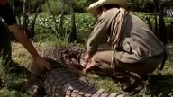Morskie legendy: Łowcy krokodyli - Film dokumentalny