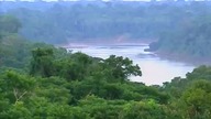Strażnicy Lasu: Królestwo papug ar (film dokumentalny)