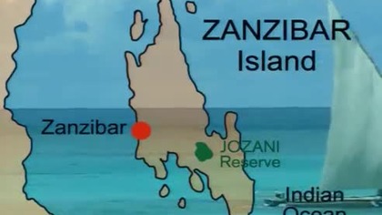 Strażnicy Lasu: Gerezy tr&oacute;jbarwne z Zanzibaru (film dokumentalny)