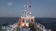 Na Haczyku: Dorsze z Bałtyku (film dokumentalny)