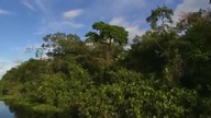 Szokująca Ziemia - Amazonia - cud narodzin