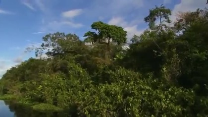 Szokująca Ziemia - Amazonia - cud narodzin