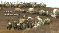 Szokująca Ziemia - Arktyka - wielka podróż
