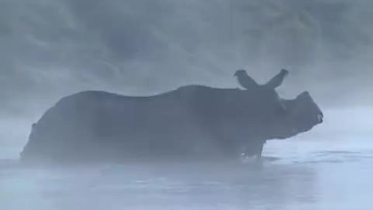 Opowieści zza siedmiu m&oacute;rz: Yadav - opiekun zwierząt (film dokumentalny)