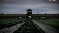 Sonderkommando Auschwitz Birkenau 