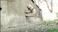 Niesamowity Pieseł