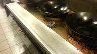 Szokujące warunki w chińskiej restauracji w USA