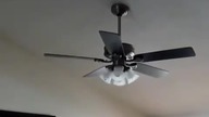 Janusze elektryki