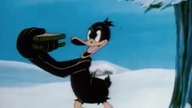 Kaczor Daffy: Kierunek Południe