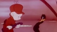 Kaczor Daffy: Kaczor czy nie kaczor?