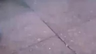 Niebawem w Polsce 