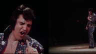 Elvis Presley Bridge Over Troubled Water 