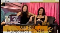 Pies kundel